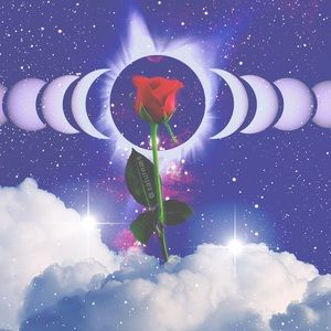 Meet your Posher, Lisbeth